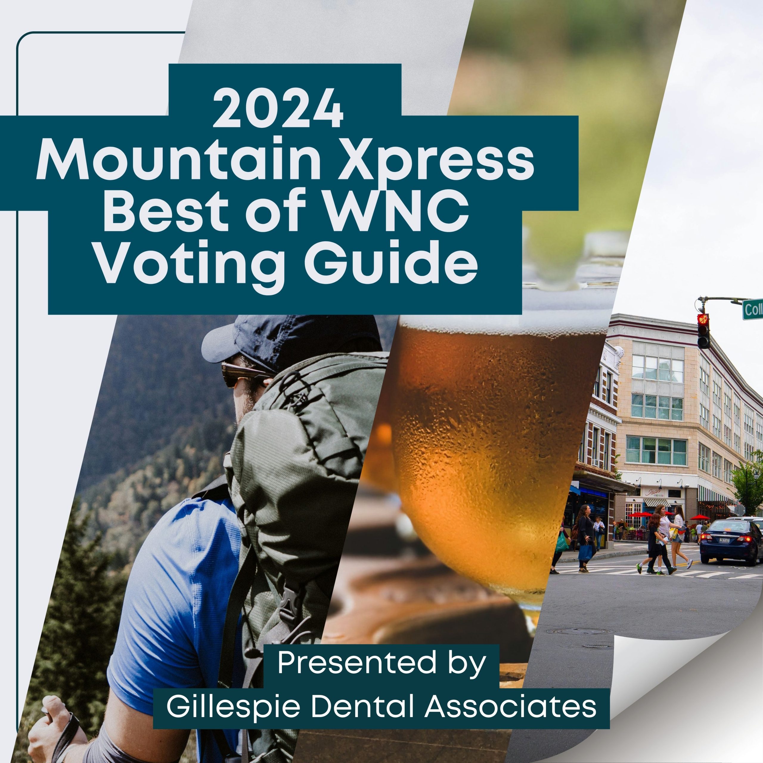 Gillespie Dental Voting Guide