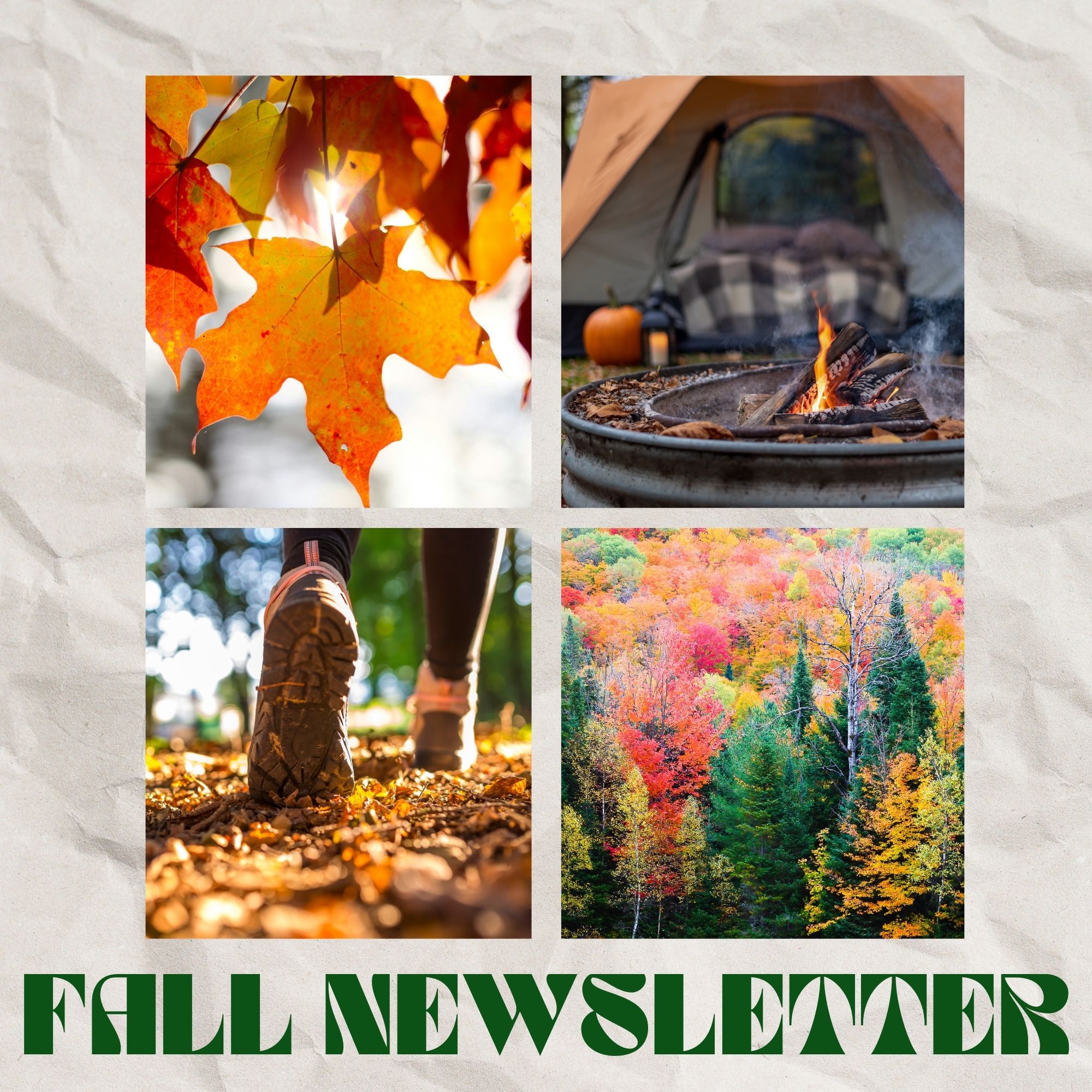 Fall Updates at Gillespie Dental Associates