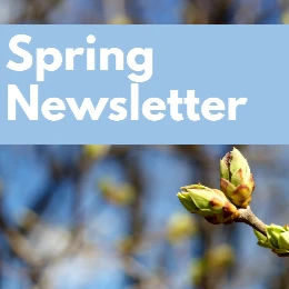 Spring Updates at Gillespie Dental Associates